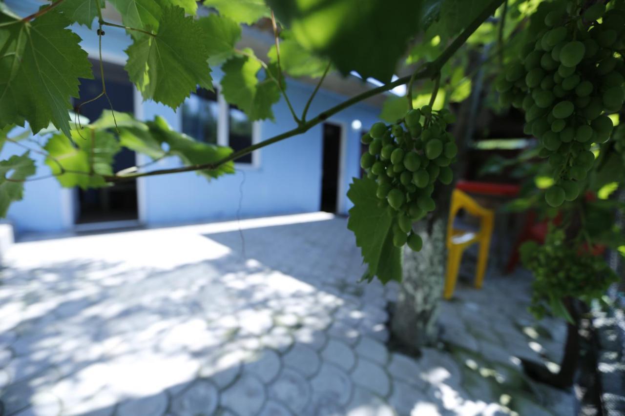 Lilia guesthouse Sighnaghi Extérieur photo